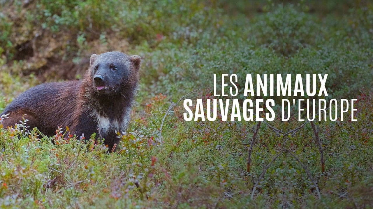 Les Animaux sauvages d'Europe