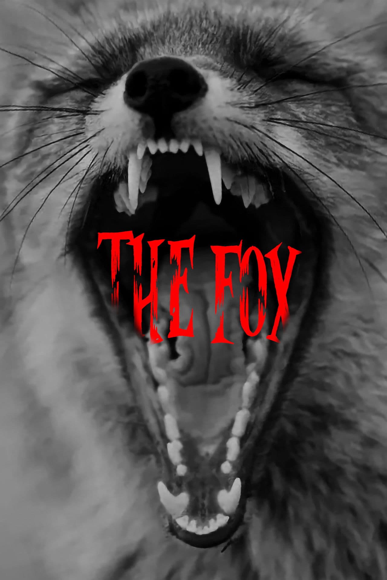 The Fox