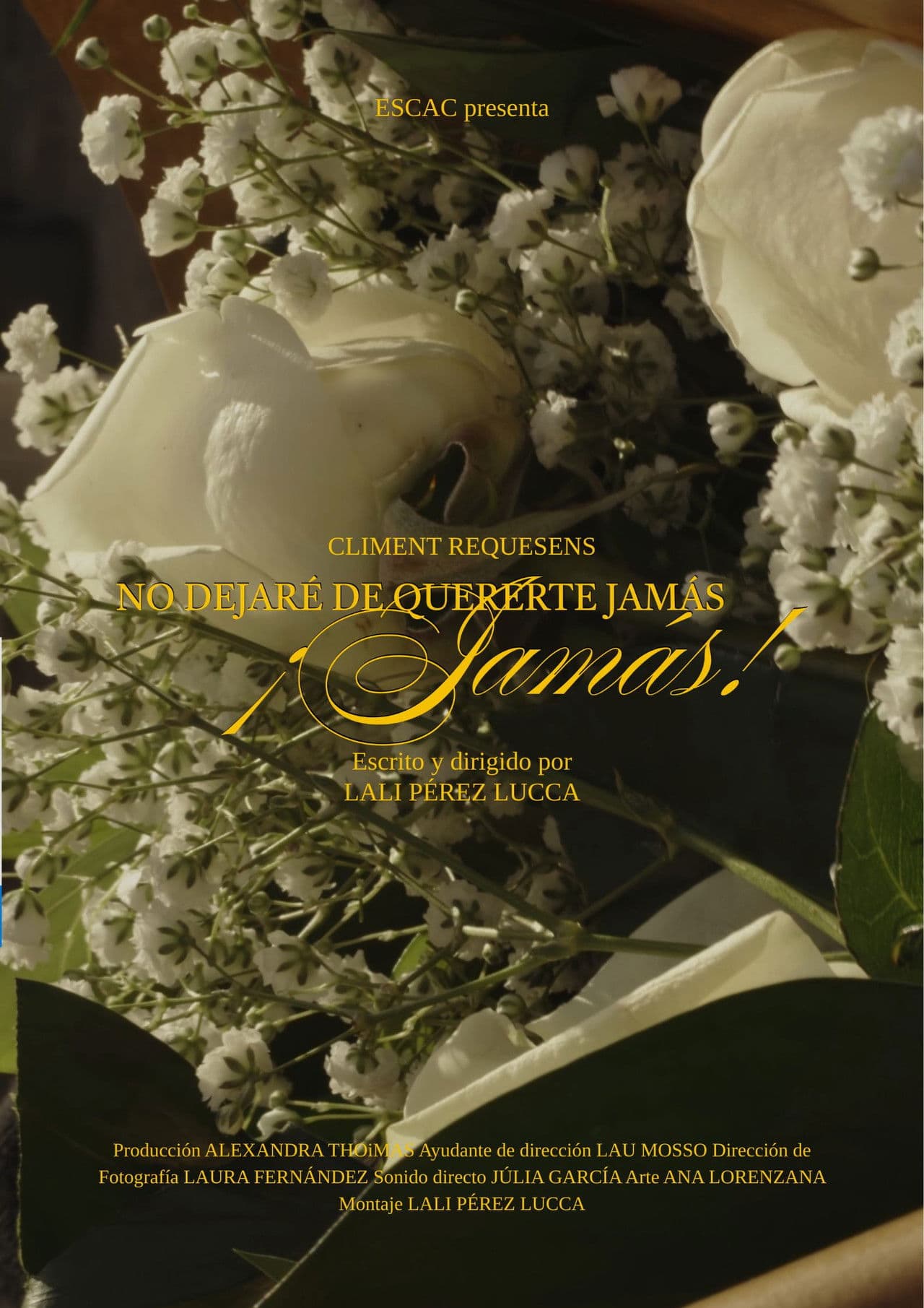 No dejaré de quererte jamás, ¡Jamás!