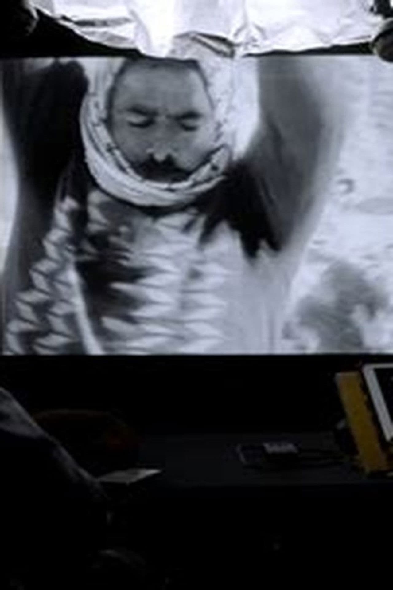 Amos Gitaï, la violence et l’histoire