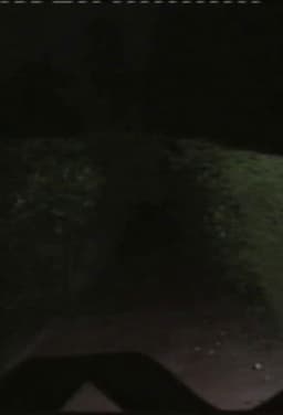 Vórtice Magnético ou Mecanismo de Dobra Fantasmática