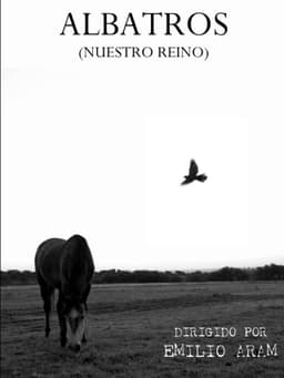 Albatross (Our Kingdom)