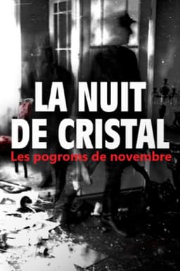 La Nuit de cristal : Les pogroms de novembre