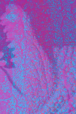 Jeb Rex Memorial Video