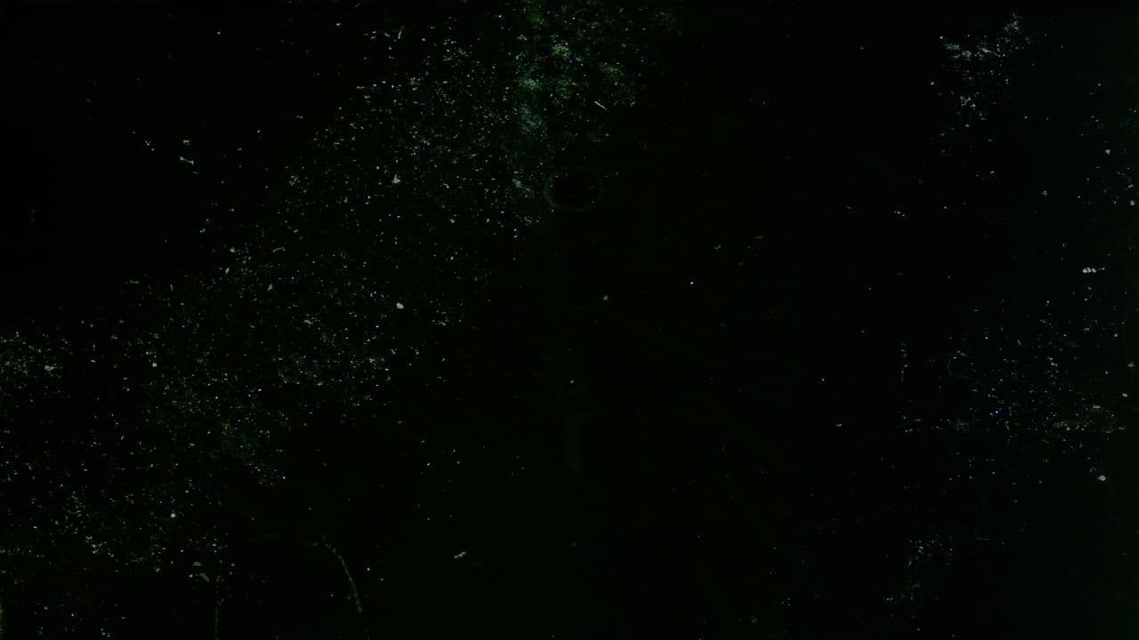 Here are some Images