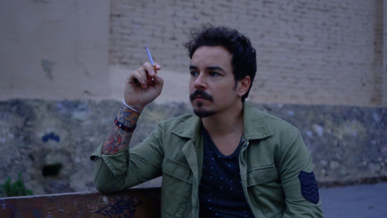 Reflections of a society