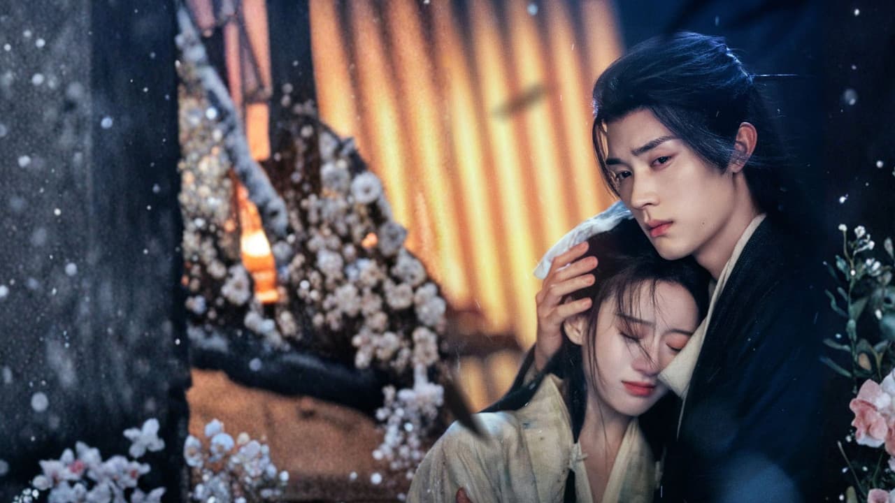 A Decade of Nightscape Lights