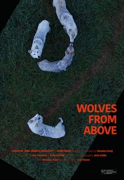 Wolves From Above