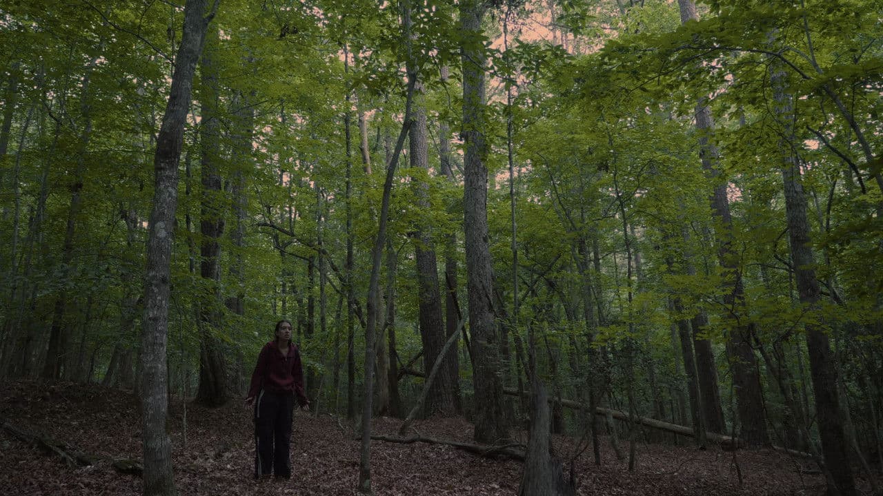 Echoes of the Absent