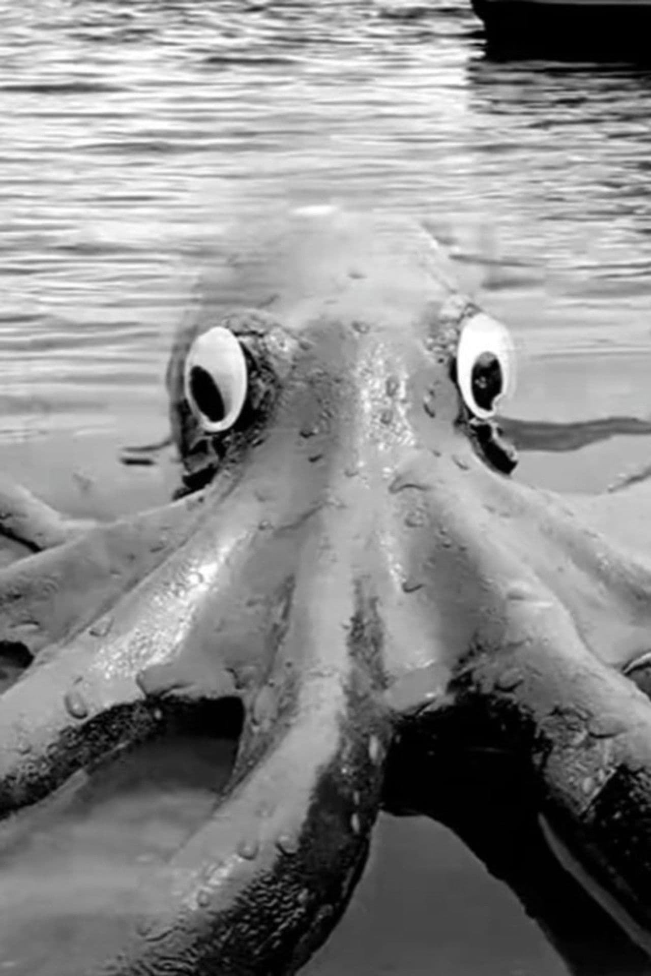 Murder Octopus from the Deep!