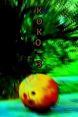 KOKO 3