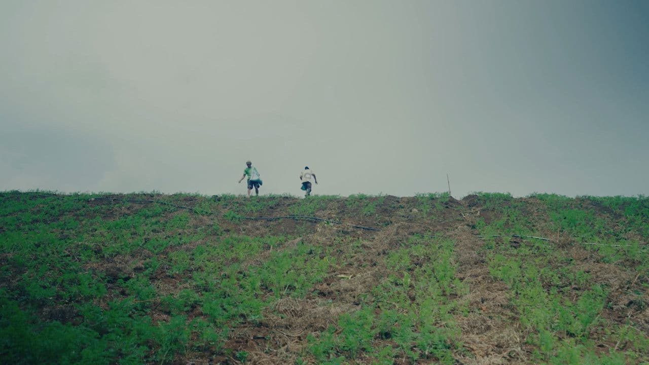 People of the Highlands