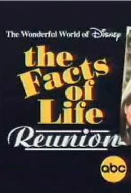 The Facts of Life Reunion
