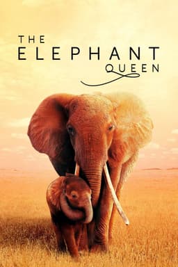 The Elephant Queen