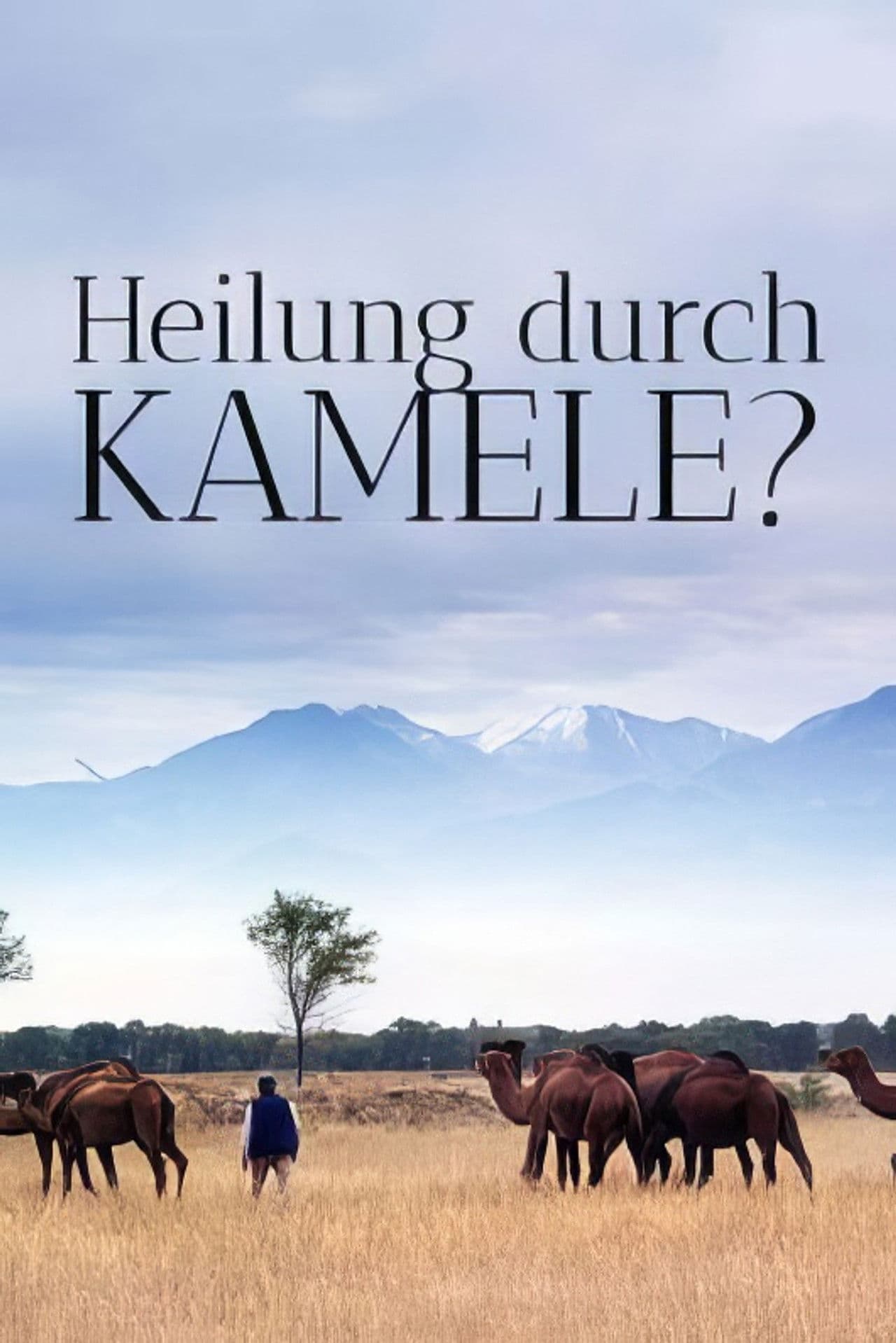 Un remède de chameau - La révolution des nanocorps