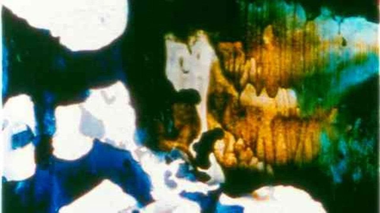 Panels for the Walls of Heaven