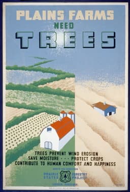 Windbreaks on the Prairies