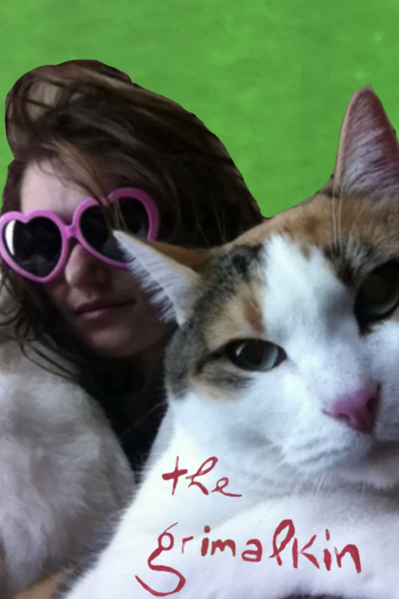 The Grimalkin