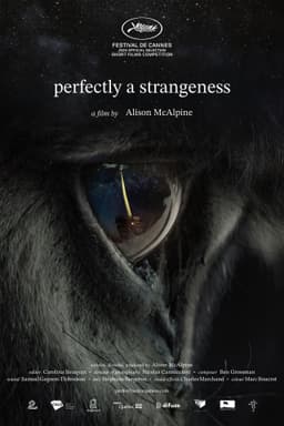 Perfectly a Strangeness