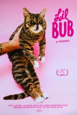 Lil Bub & Friendz