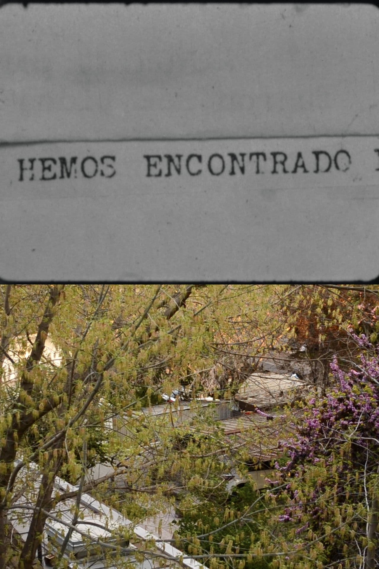 Pensaba que te habías olvidado de escribirme