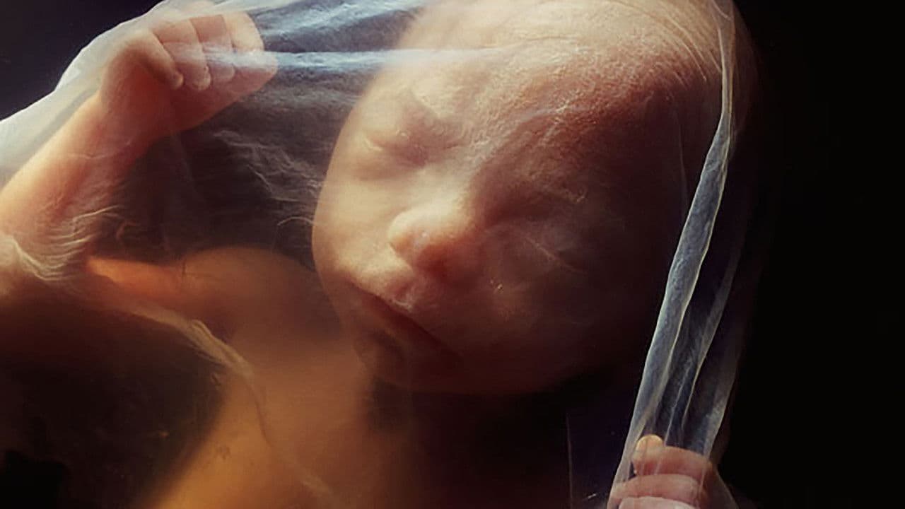 BRAVE NEW SWITZERLAND