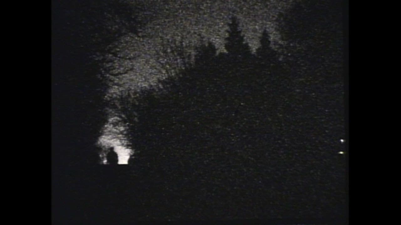 Five Films by Phil Solomon