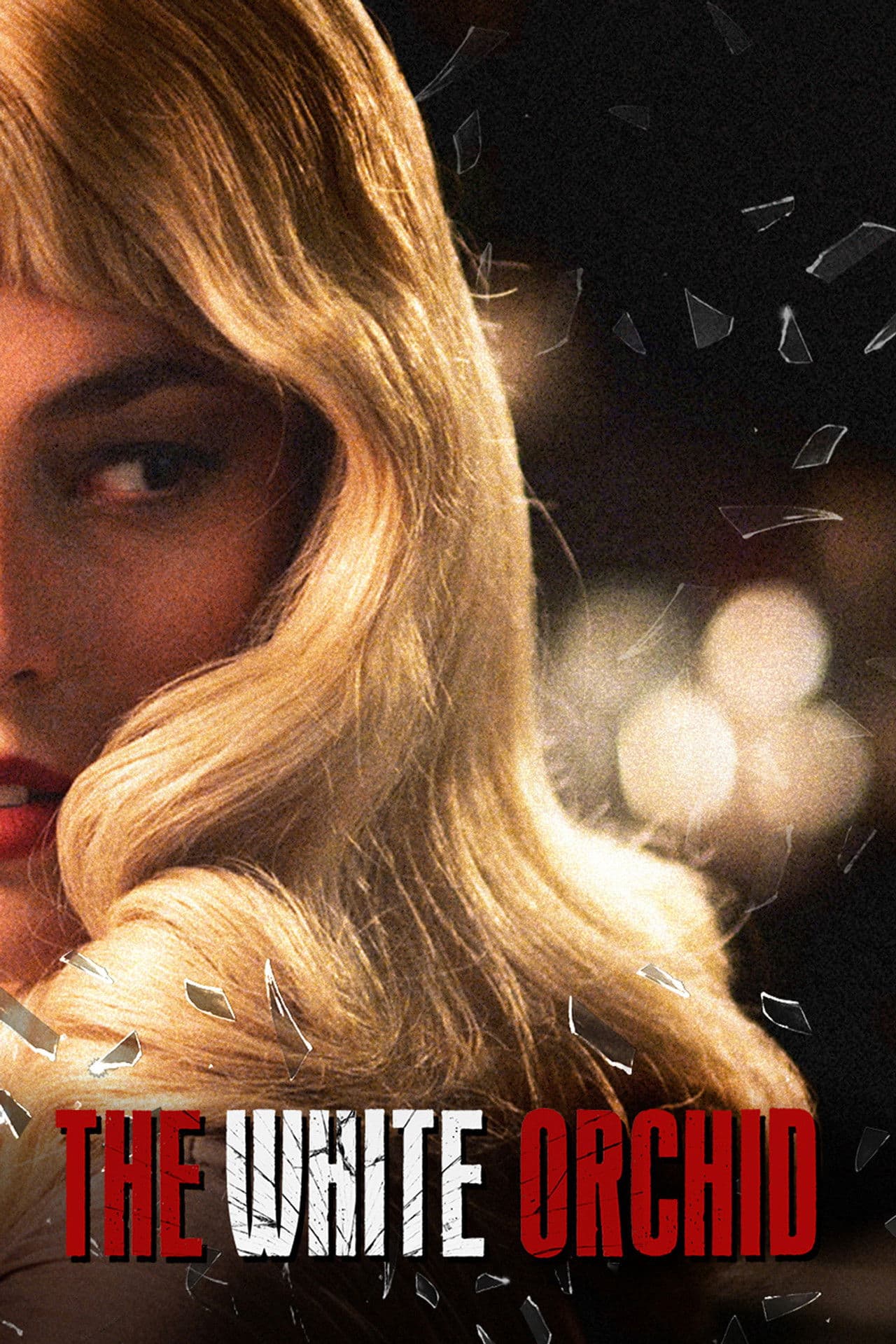 The White Orchid