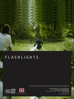 Flashlights