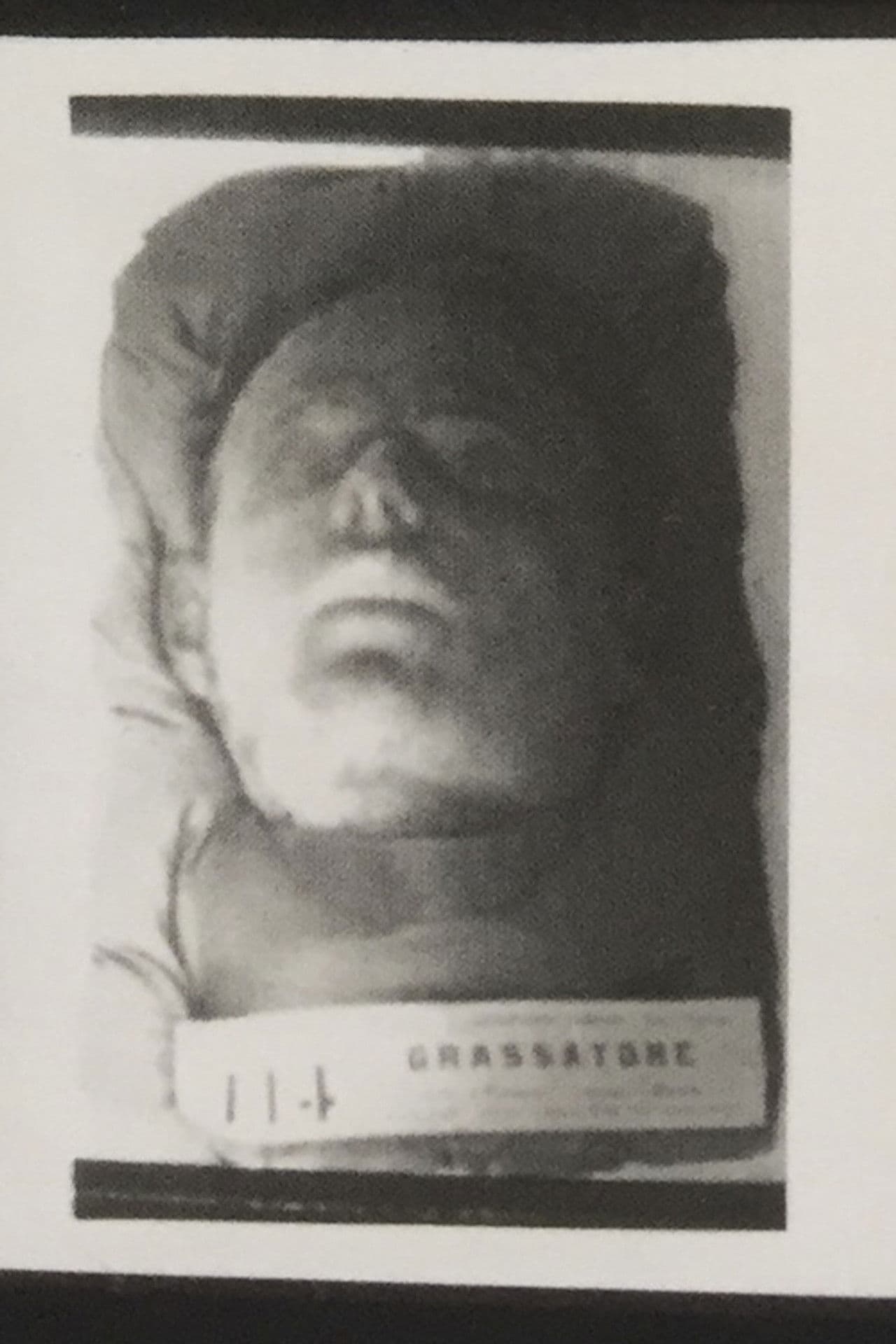 Cesare Lombroso - Sull'odore del garofano