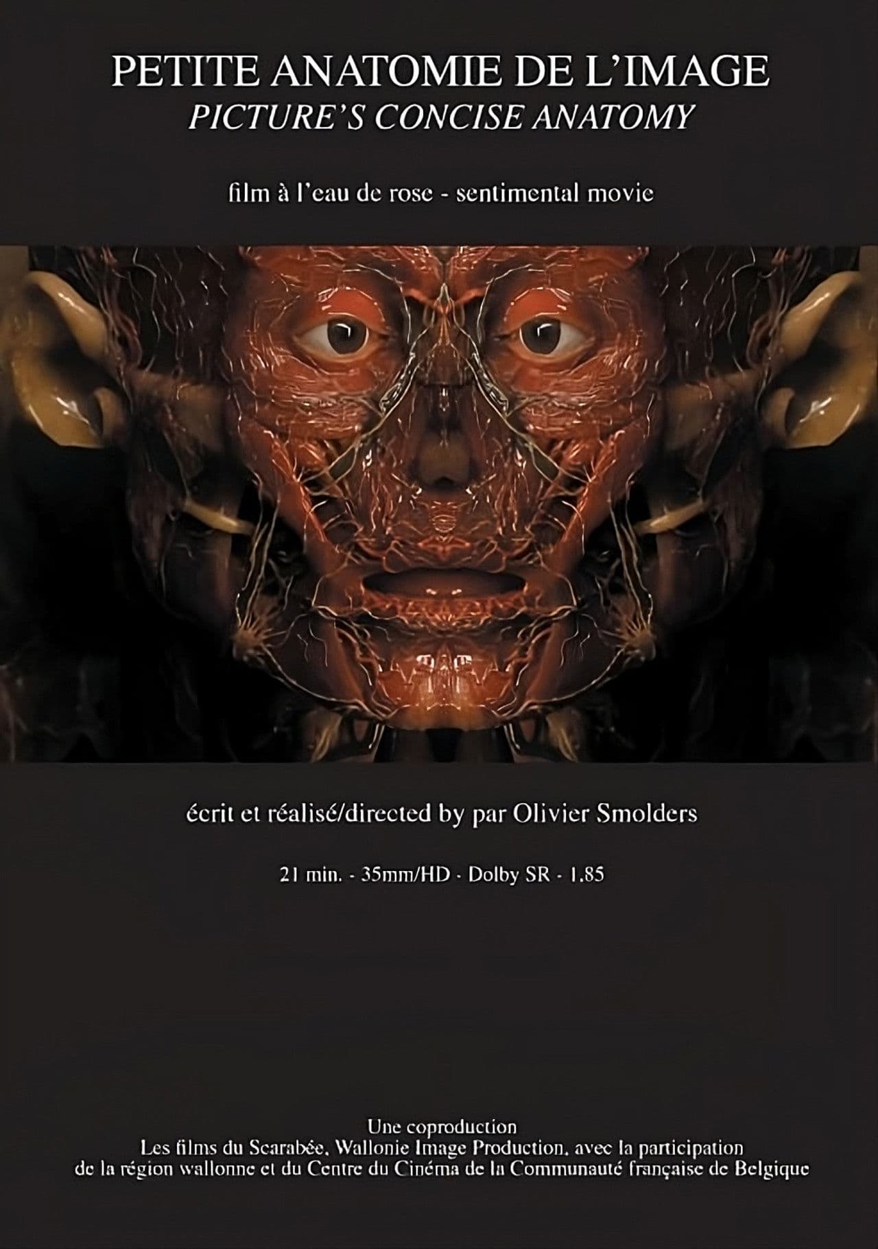 Petite anatomie de l'image