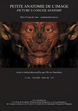 Petite anatomie de l'image