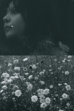 C - The House of Fire