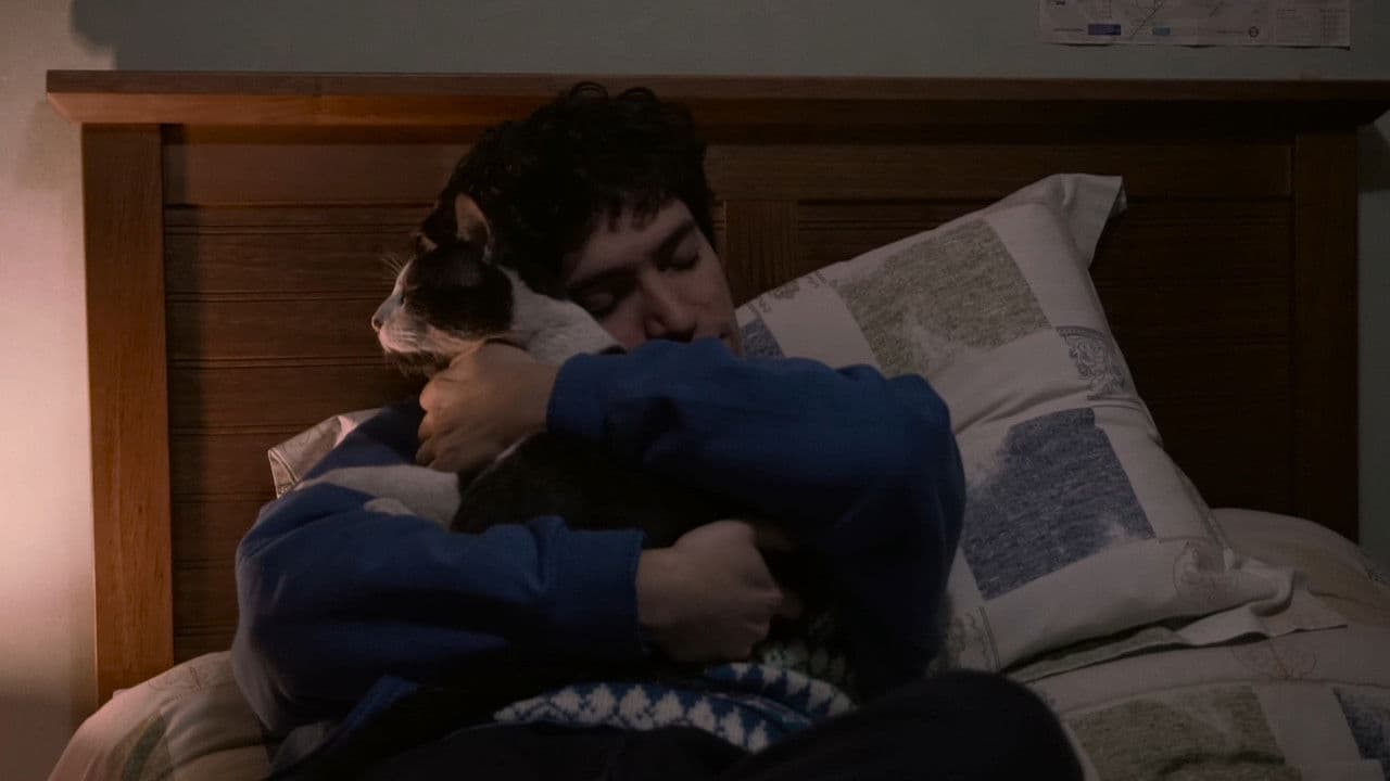 The Palm Trees (Documentary Niños del Cerro)