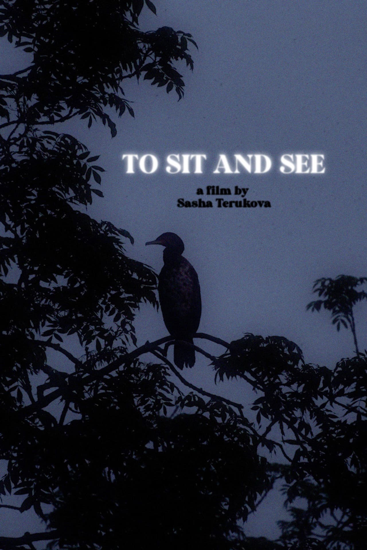 To Sit and See