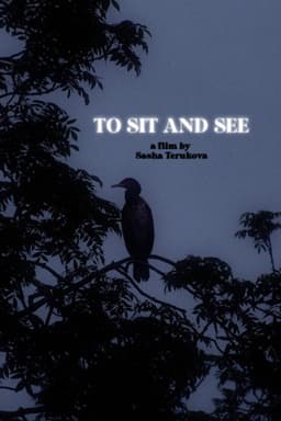 To Sit and See