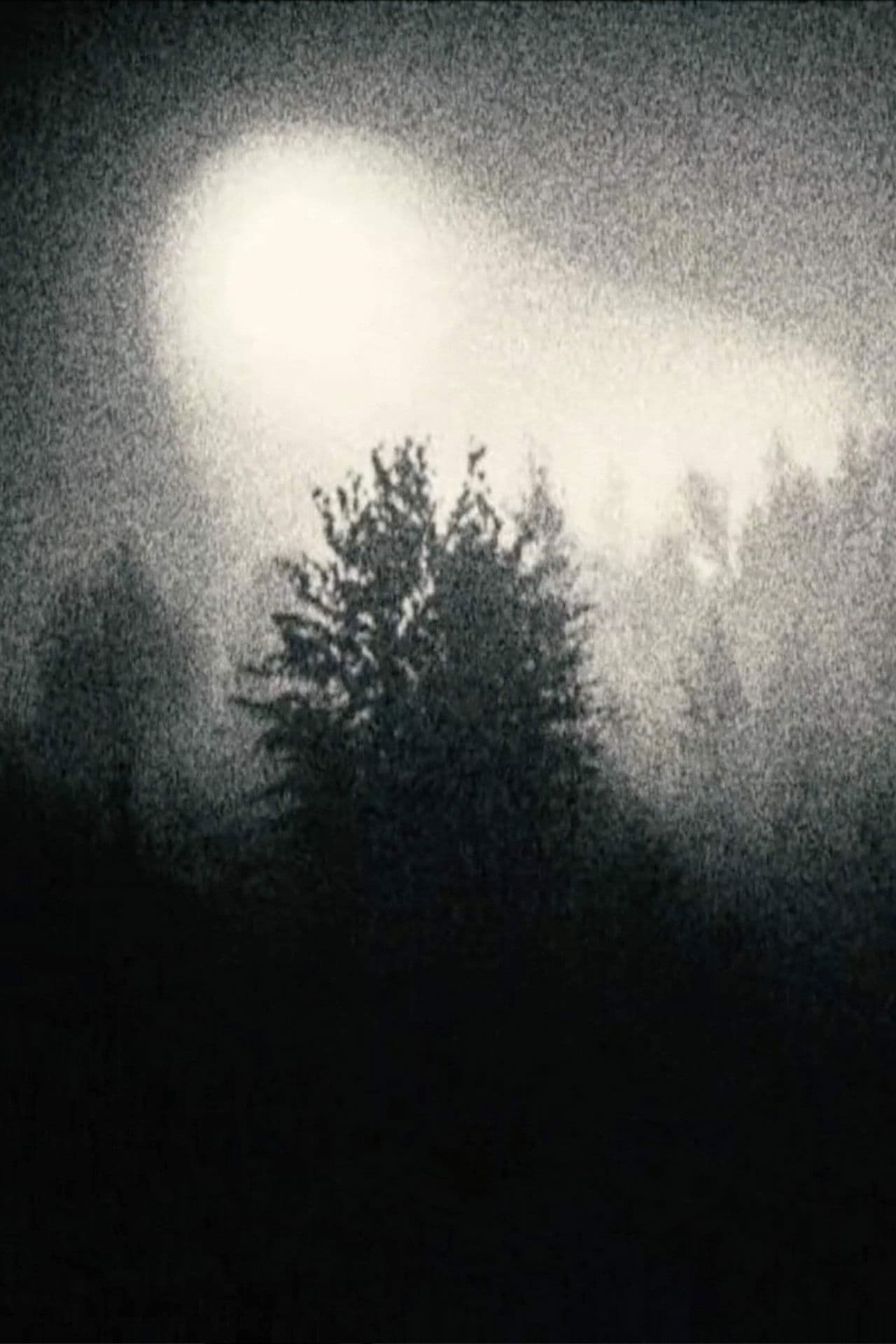 Operation Wandering Soul ////////// Ghost Tape Number 10