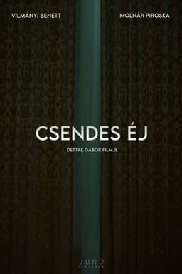 Csendes éj