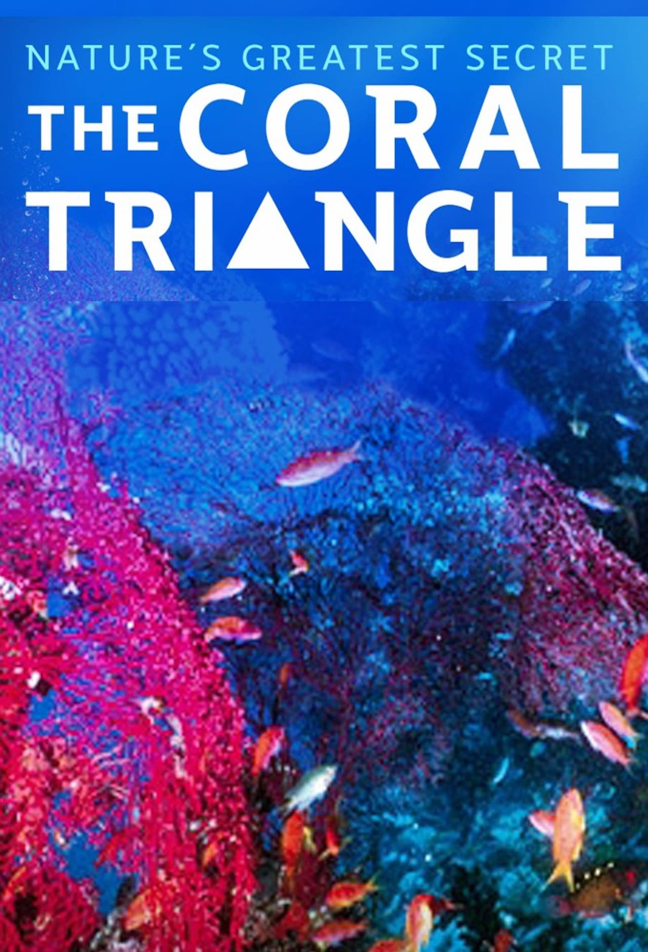 Coral Triangle