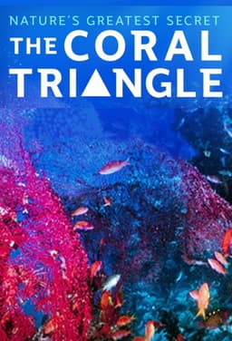 Coral Triangle