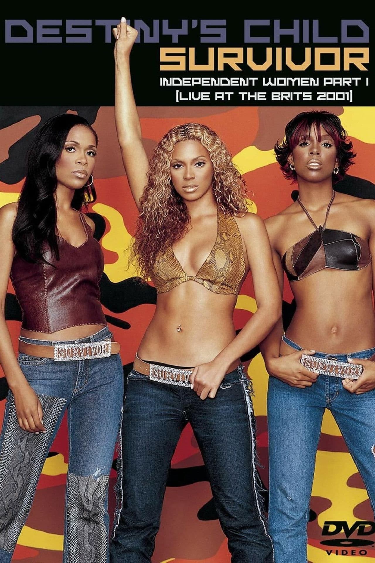 Destiny's Child: Survivor
