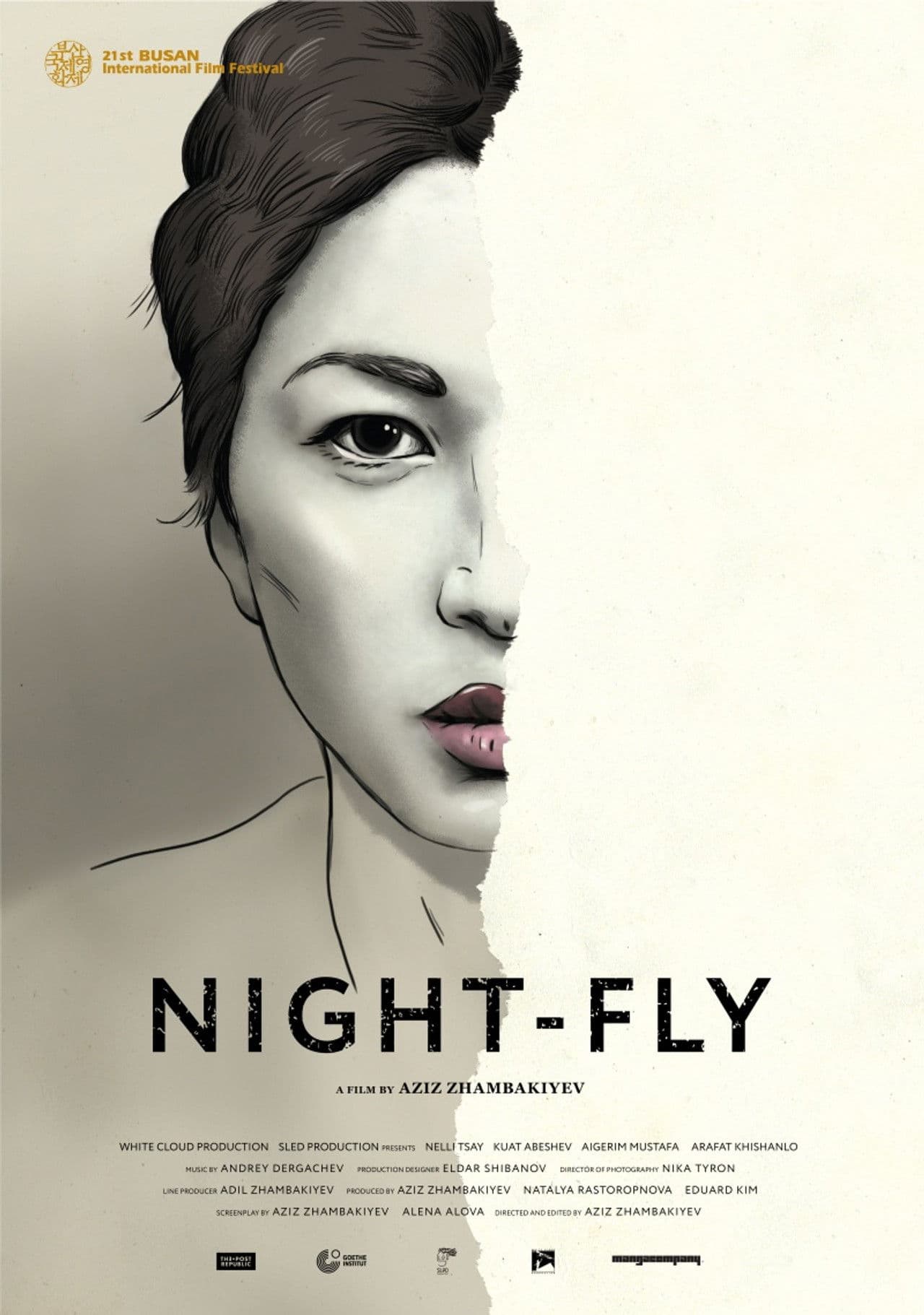 Night-Fly
