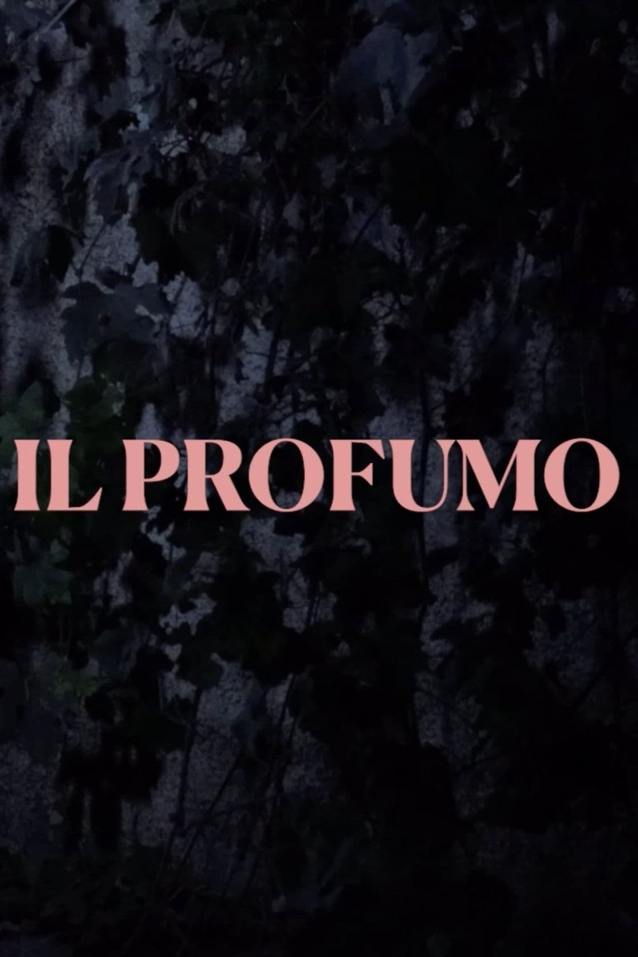Il Profumo