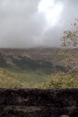 Quarta passeggiata - Un giro di giostra