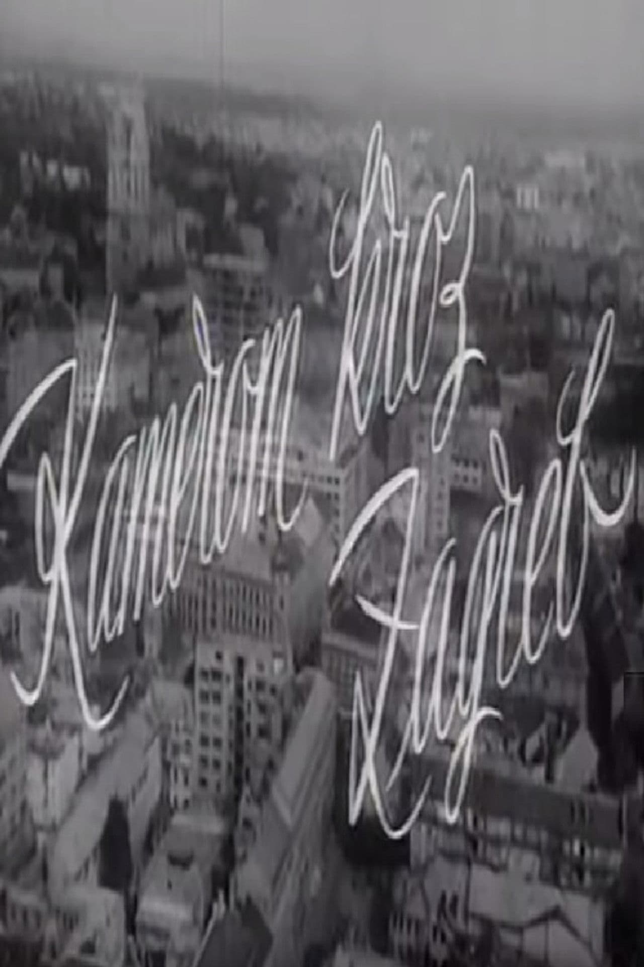 With the Camera Through Zagreb