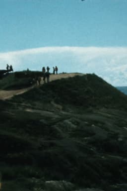 Antti Peippo – The Tourist