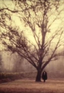 D. Jaime or the Portuguese Night