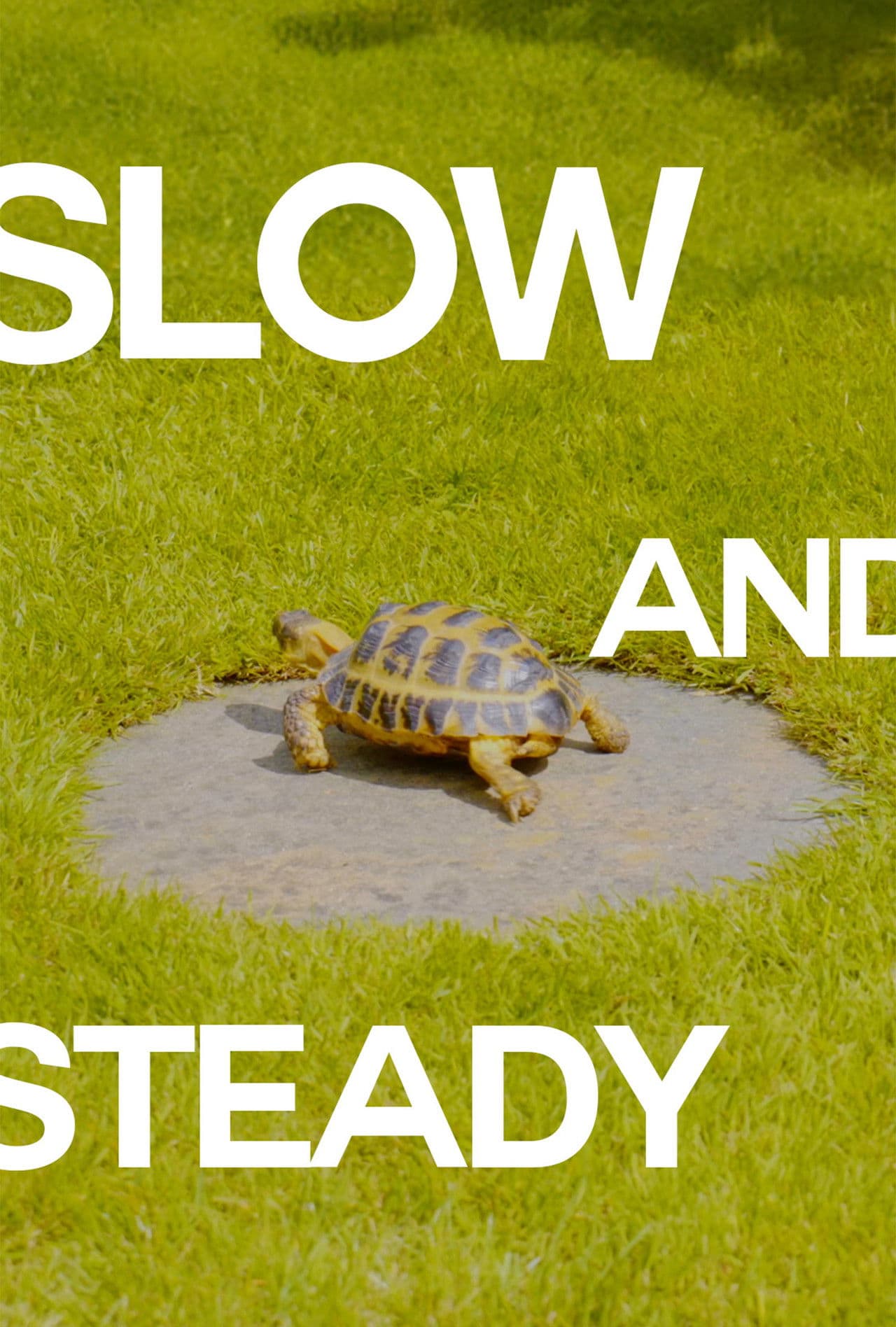 Slow and Steady