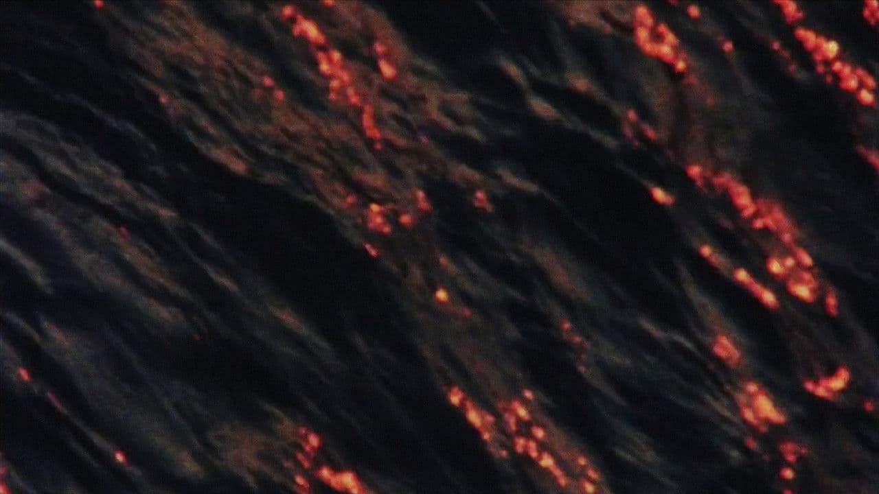 The Water of the Seine