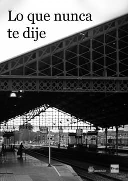 Lo que nunca te dije